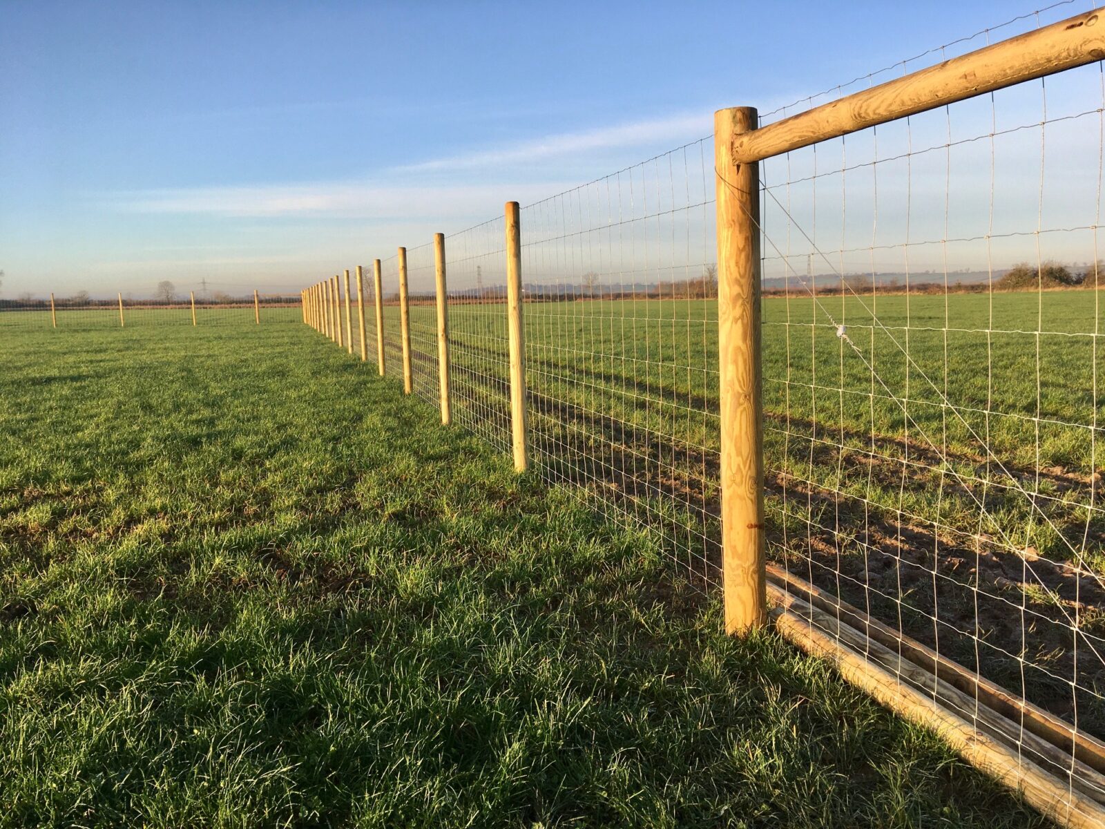 fence