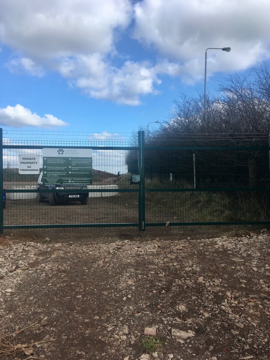 Gallery RadcliffeonTrent Dog Field